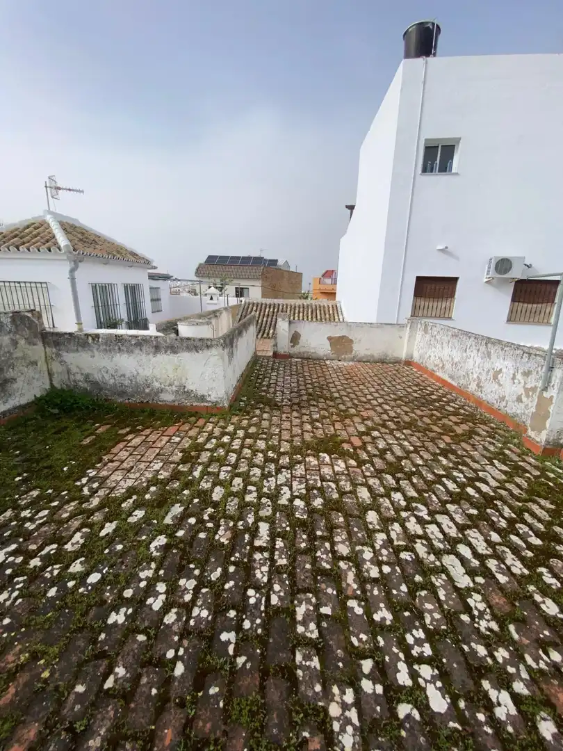 Vista exterior de Casa o chalet en venta en Morón de la Frontera