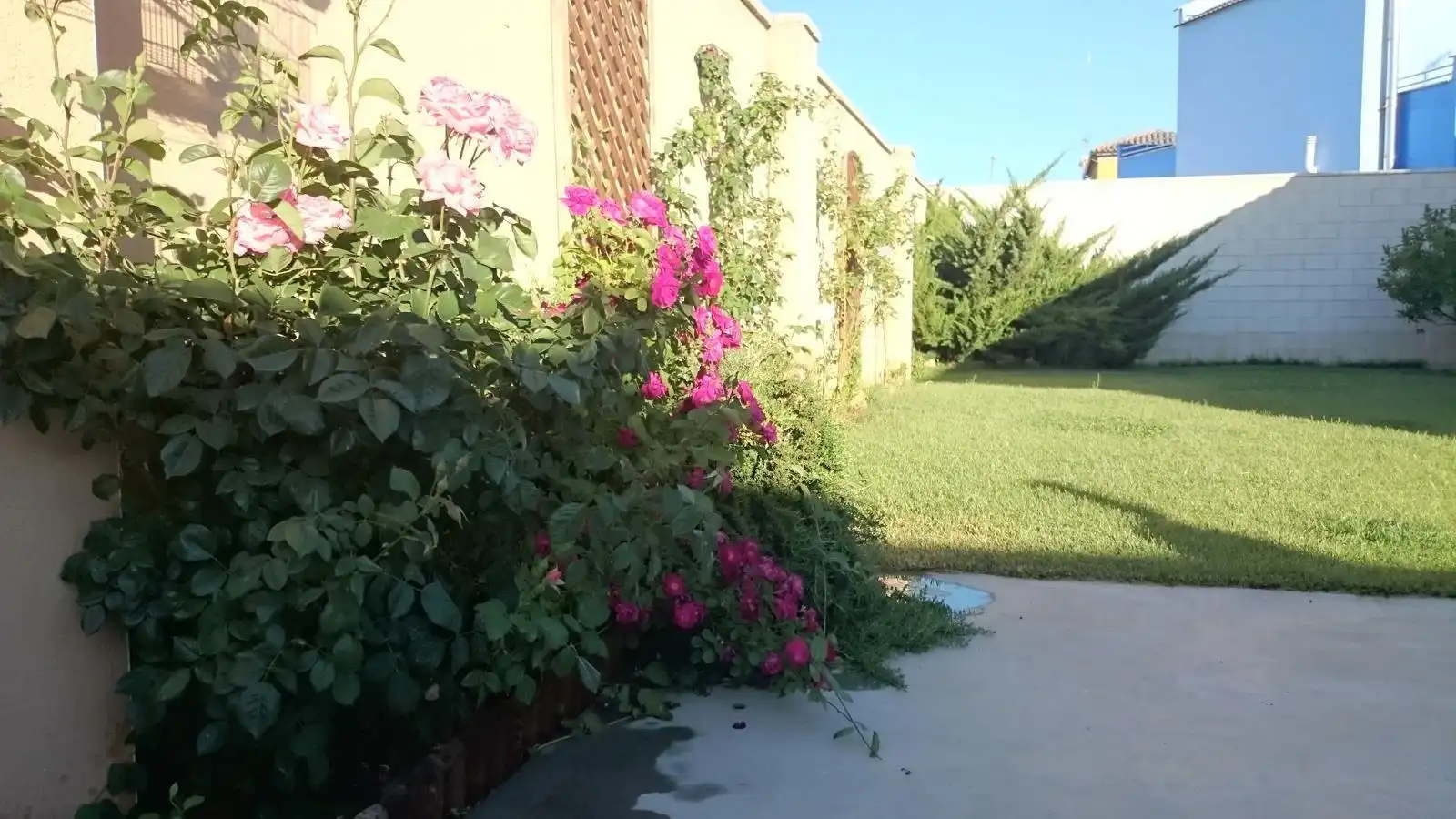 Maison avec terrasse à vendre à Valdepeñas, imagen 13