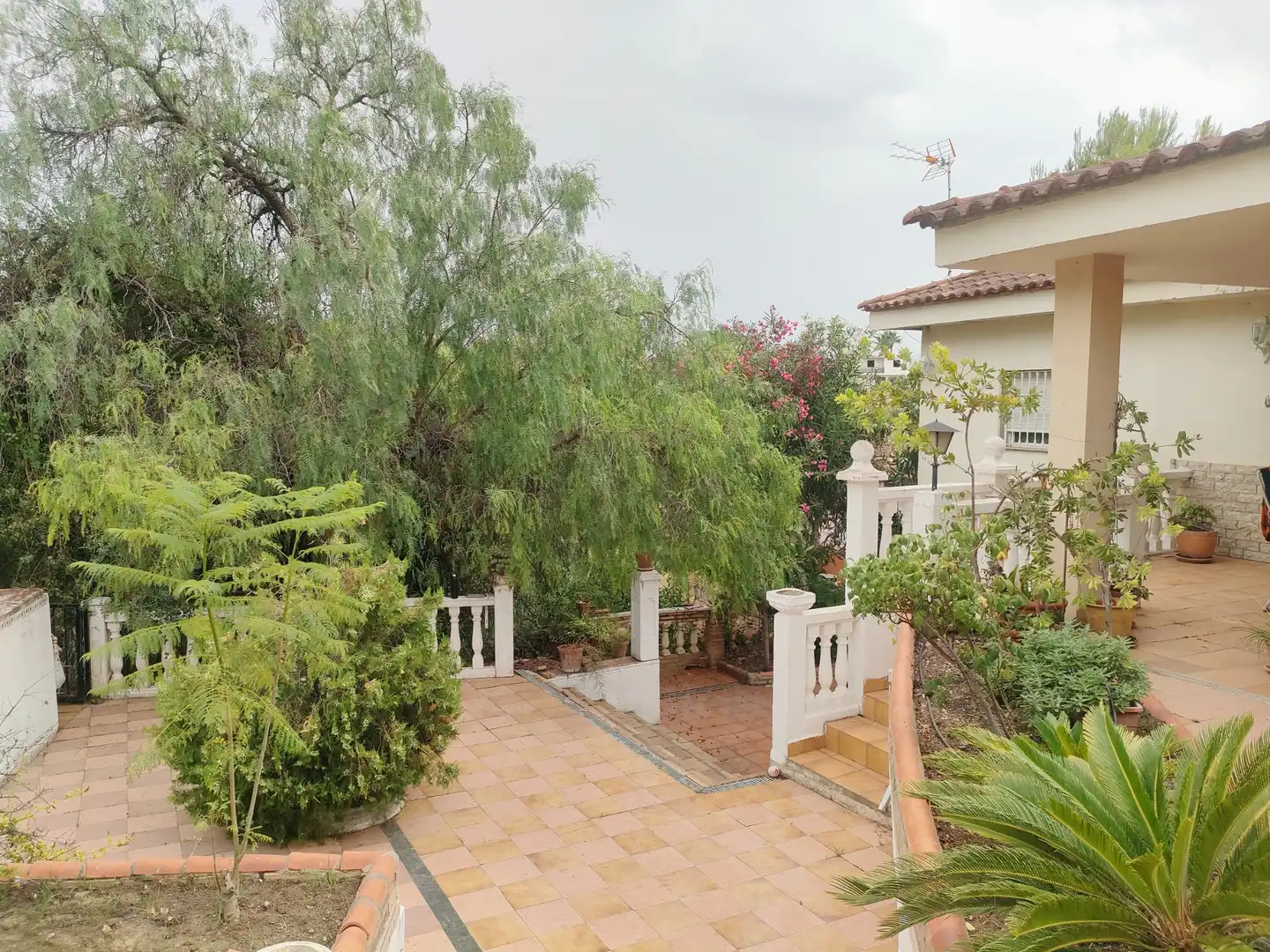 Jardín de Casa o chalet en venta en Turís con Jardín privado, Terraza y Trastero