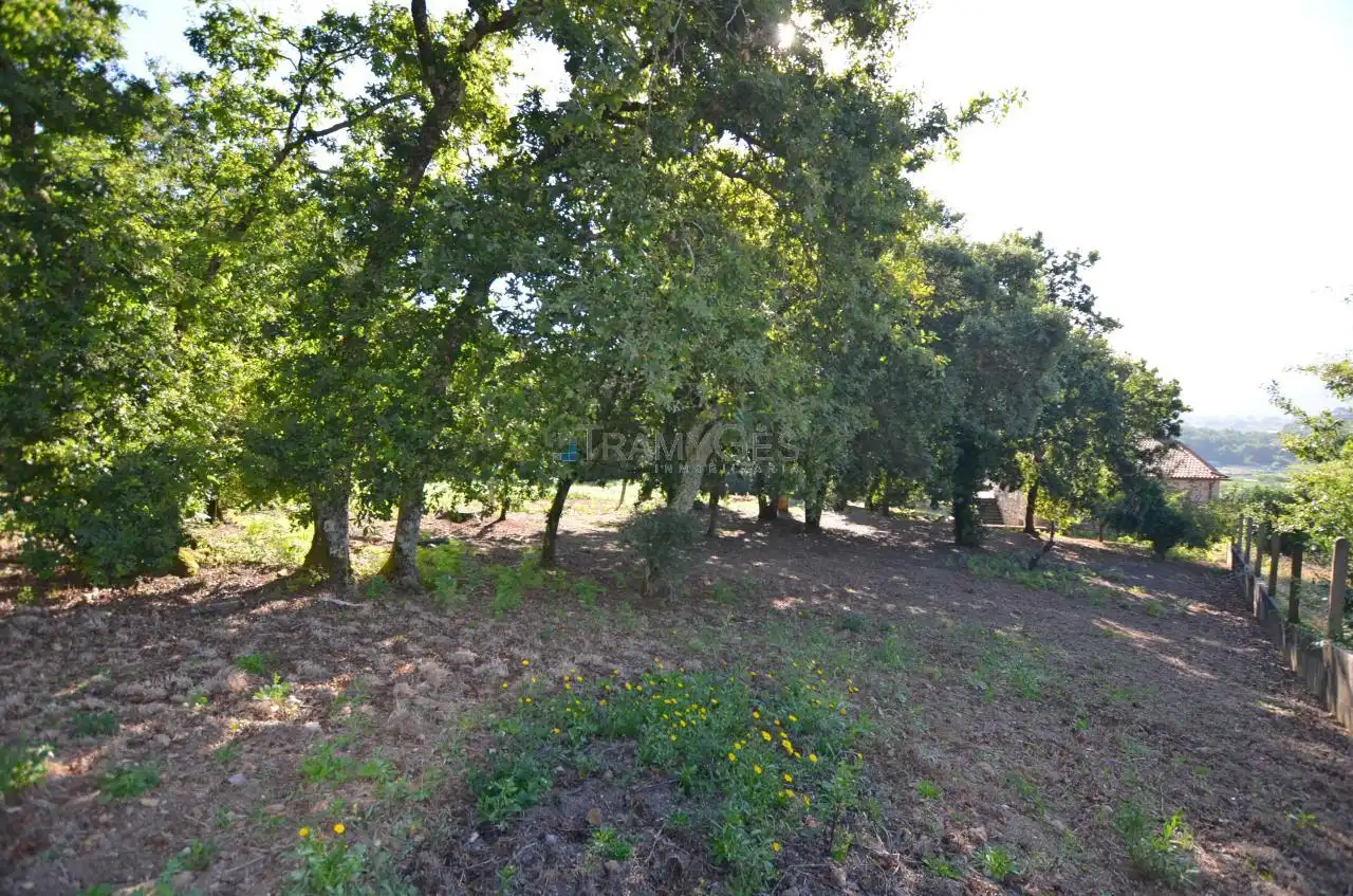 Finca rústica en venta en O Rosal   con Calefacción, Jardín privado y Terraza