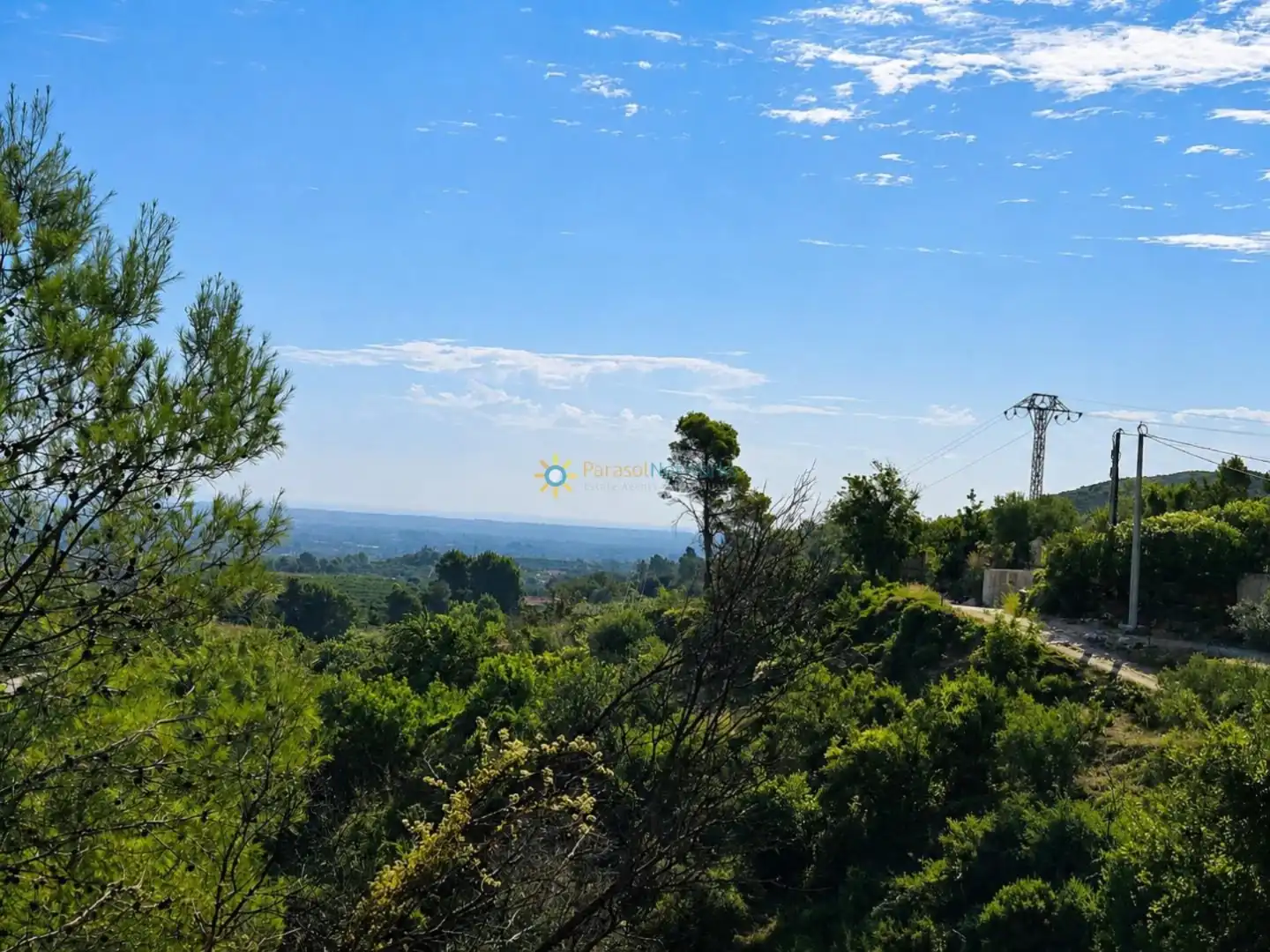 Terreno rustico in vendita a L'Atzúbia, imagen 6