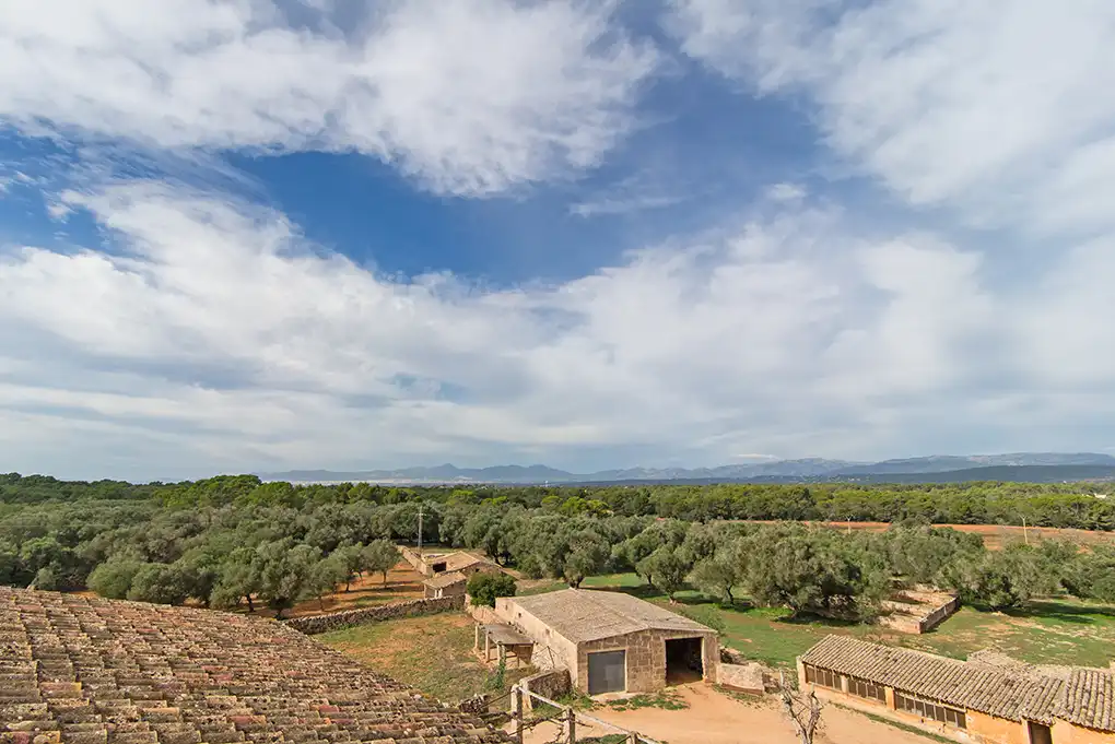 Maison rustique à vendre à Sant Joan, imagen 26