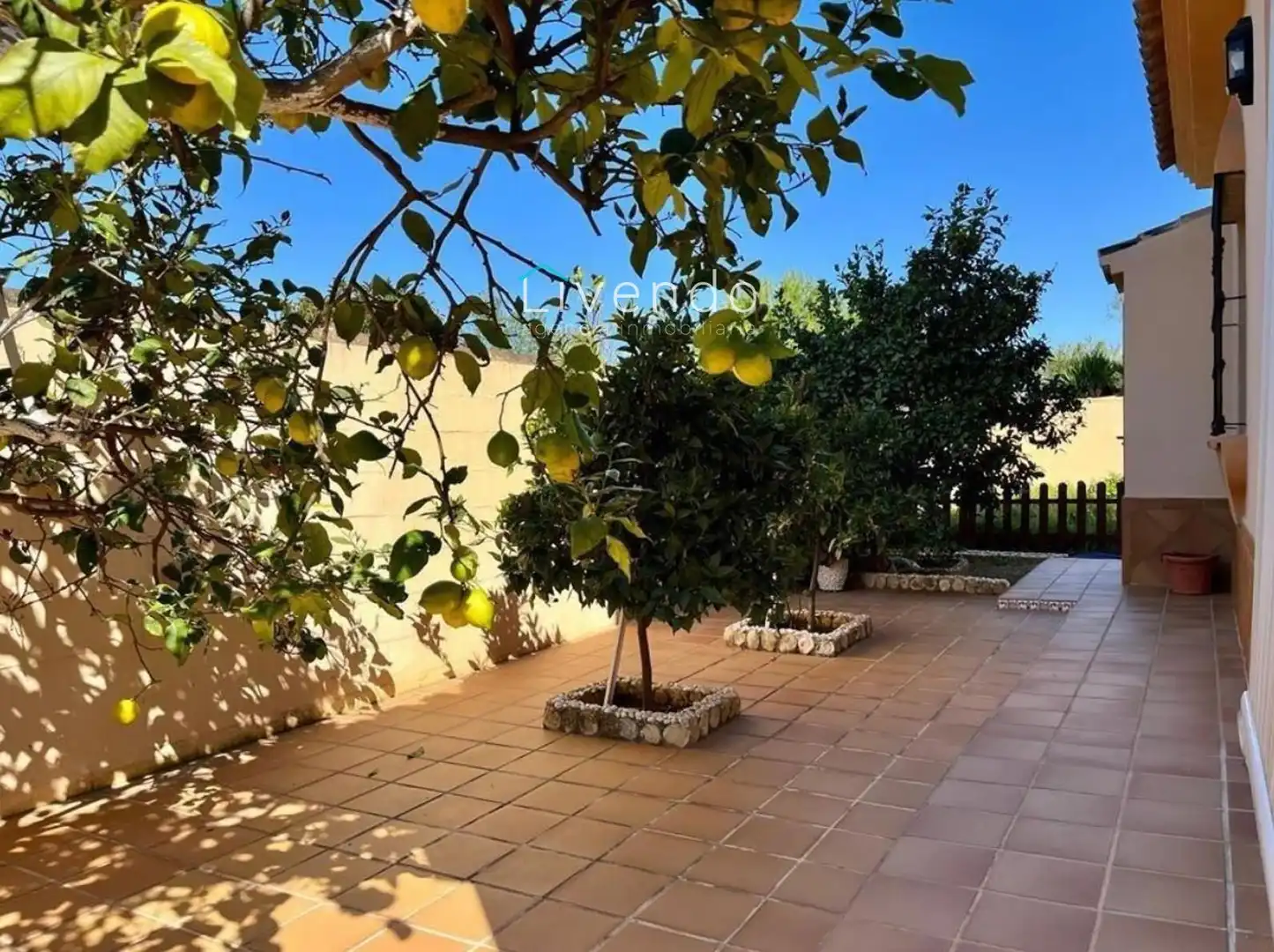 Jardí de Casa o xalet en venda en Chiclana de la Frontera amb Terrassa i Traster