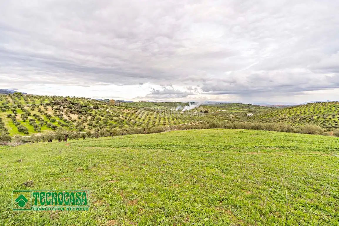 Terreny rústic en venda a Alozaina, imagen 12