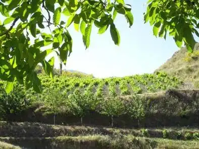 Garden of Country homes for sale in Monachil  with Air Conditioner, Heating and Terrace