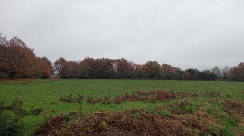 Foto 5 de Finca rústica en venda a Xunqueira de Espadanedo, Ourense