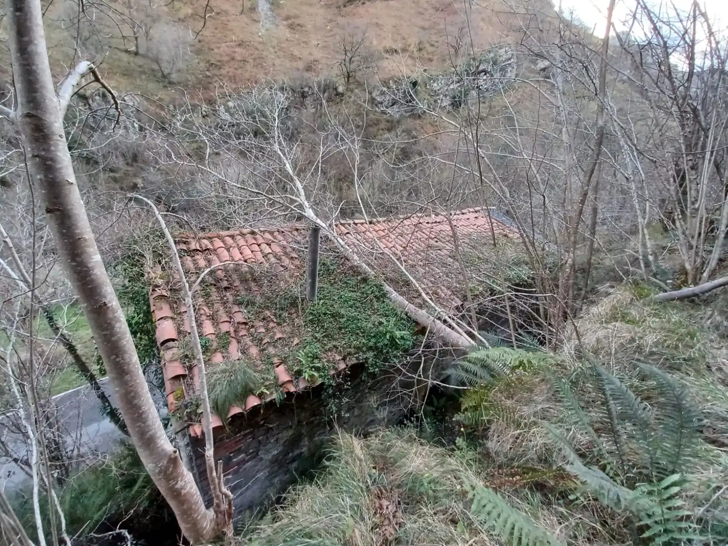 Haus zum Verkauf in San Roque de Riomiera, imagen 6