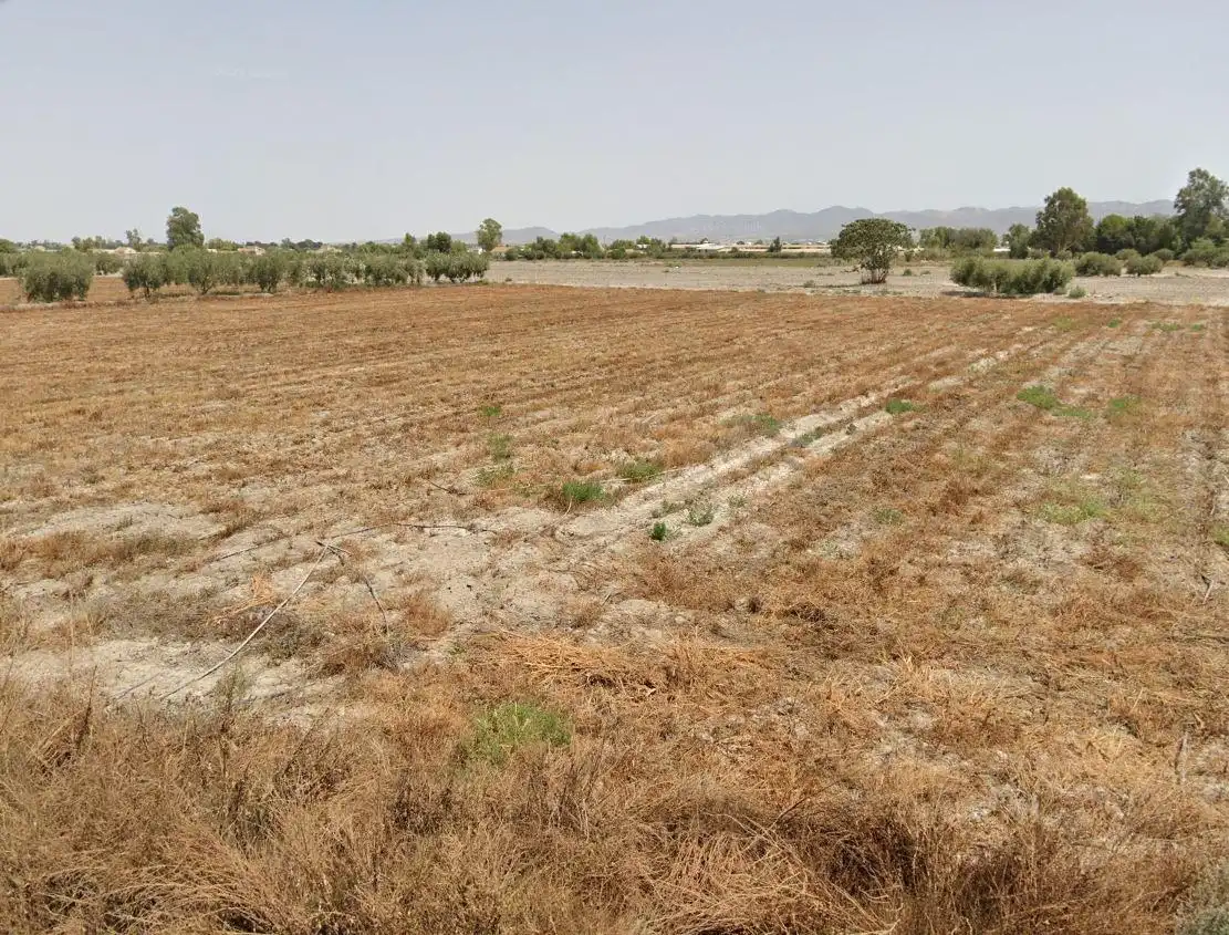 Terreny residencial en venda a Pedanías Centro, imagen 4