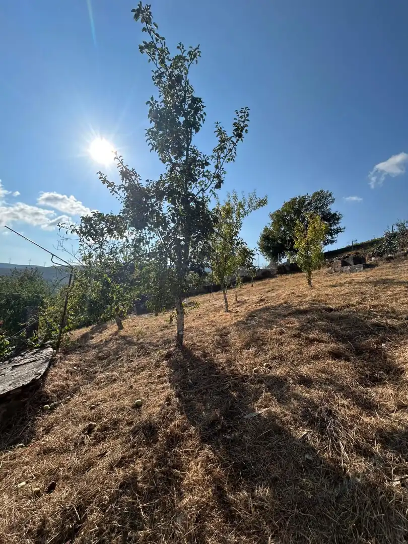 Casa o chalet en venta en O Irixo con Calefacción, Jardín privado y Trastero