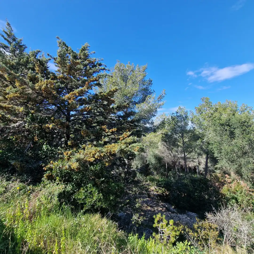 Terreno residencial en venta en Carrer Gessamí 18, imagen 12