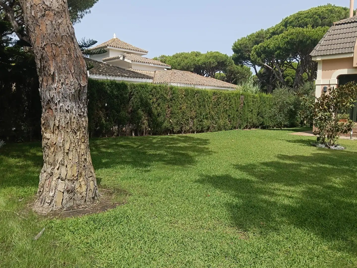 Jardí de Casa o xalet en venda en Conil de la Frontera amb Aire condicionat, Jardí privat i Terrassa
