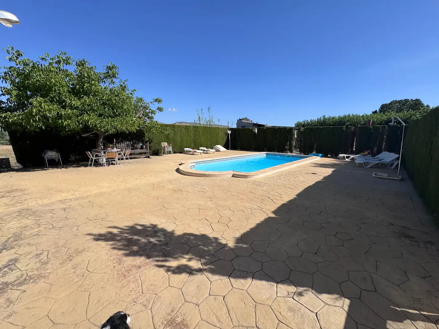 Piscina de Finca rústica en venta en Villena con Aire acondicionado, Calefacción y Jardín privado