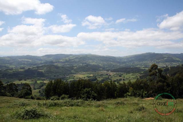 Terreno residencial en Venta en PARCELA 4-EL Pedrosu-Les Pravianes, Parce en San Justo - Bedriñana