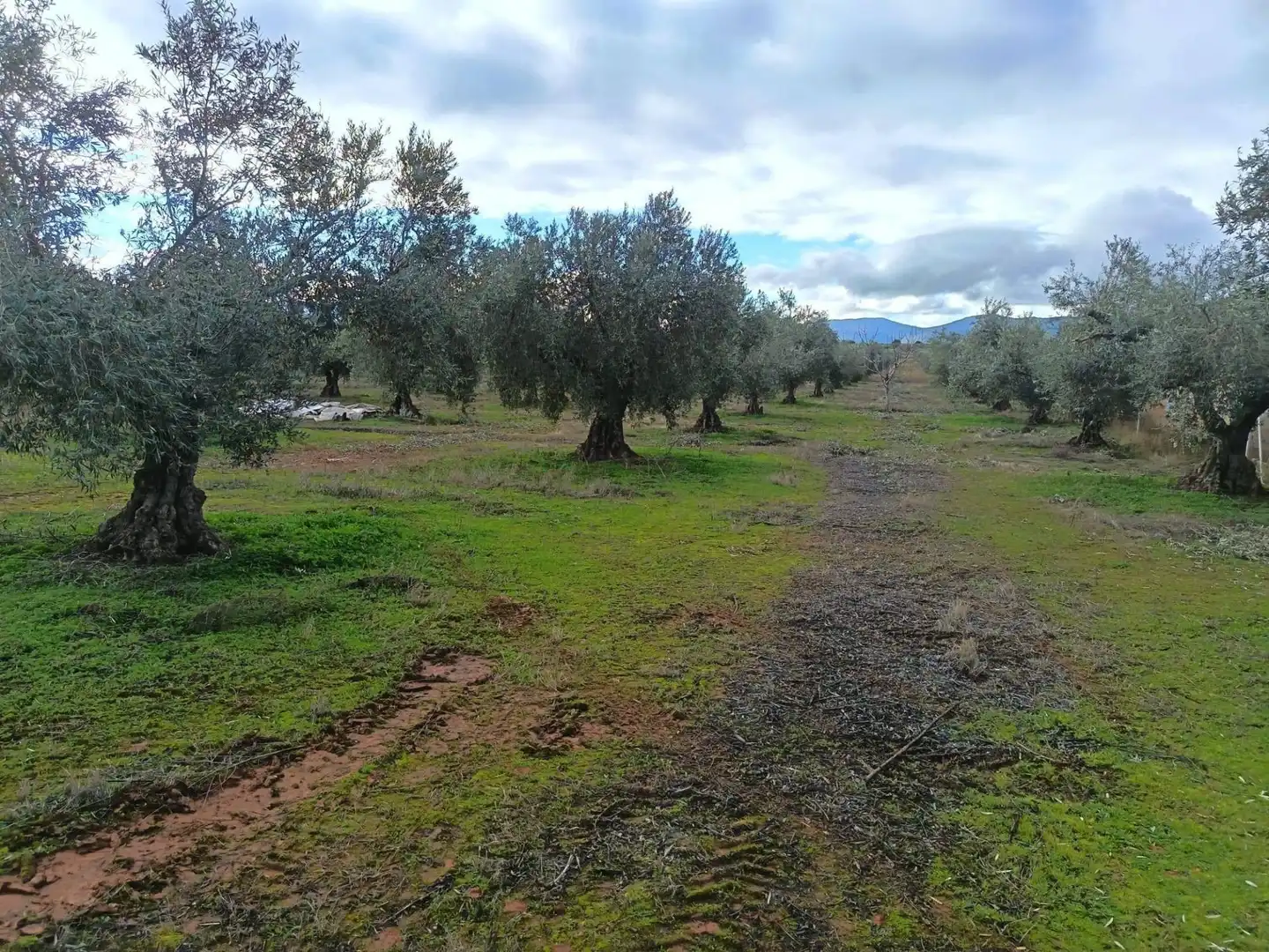 Terreni e lotti in vendita a Los Navalucillos, imagen 24