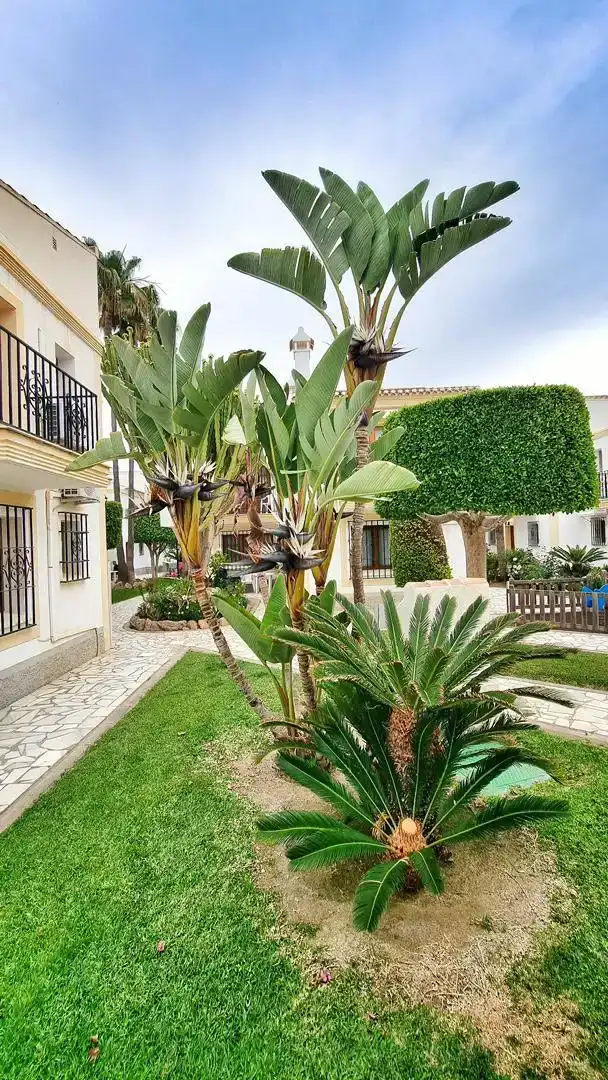 Jardí de Apartament en venda en Vera amb Aire condicionat, Jardí privat i Parquet