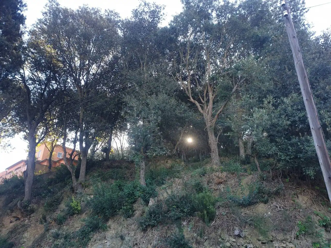 Rural land for sale in Mercuri 5, imagen 2