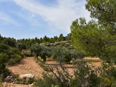 Rustikales Grundstück zum Verkauf in La Fresneda