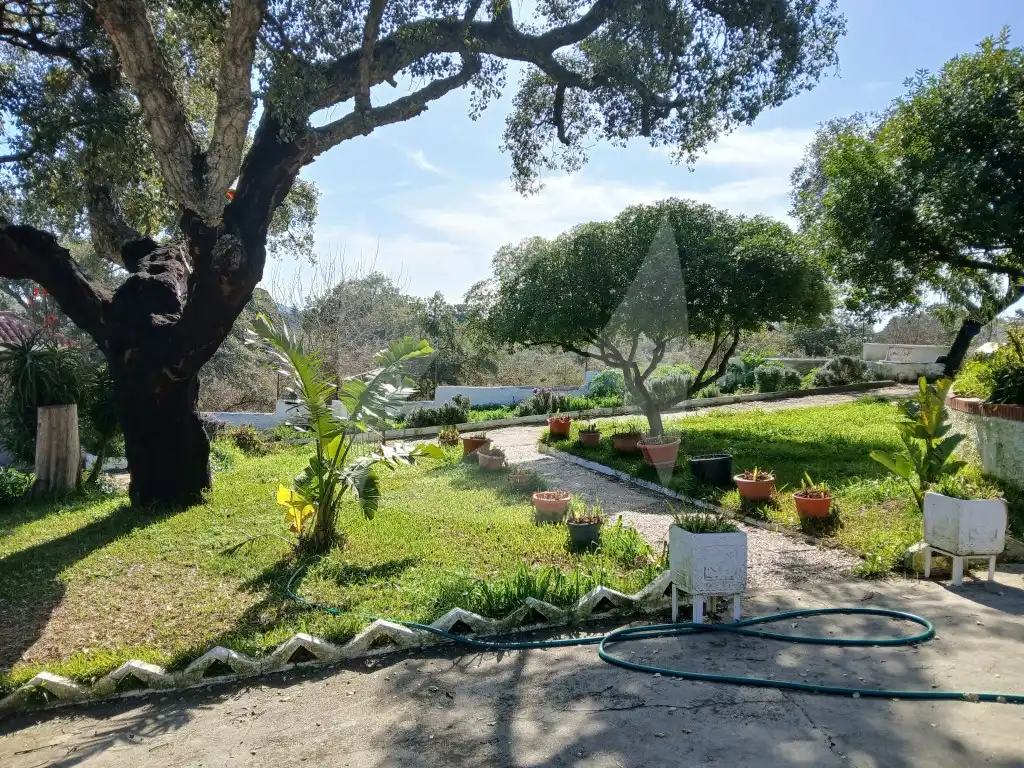 Jardí de Casa o xalet en venda en Cáceres amb Aire condicionat, Terrassa i Piscina
