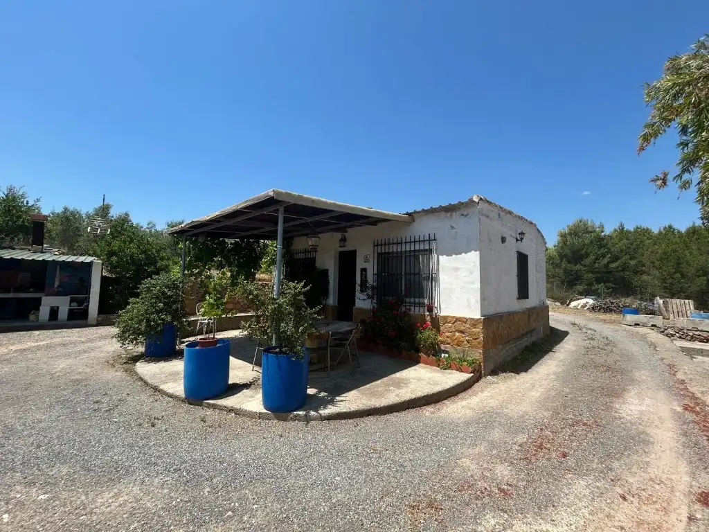 Vista exterior de Finca rústica en venta en Sot de Ferrer