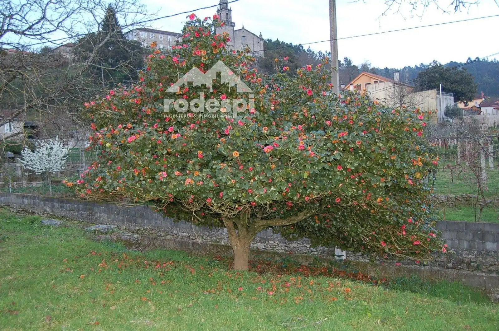 Casa in vendita a Ponteareas, imagen 4