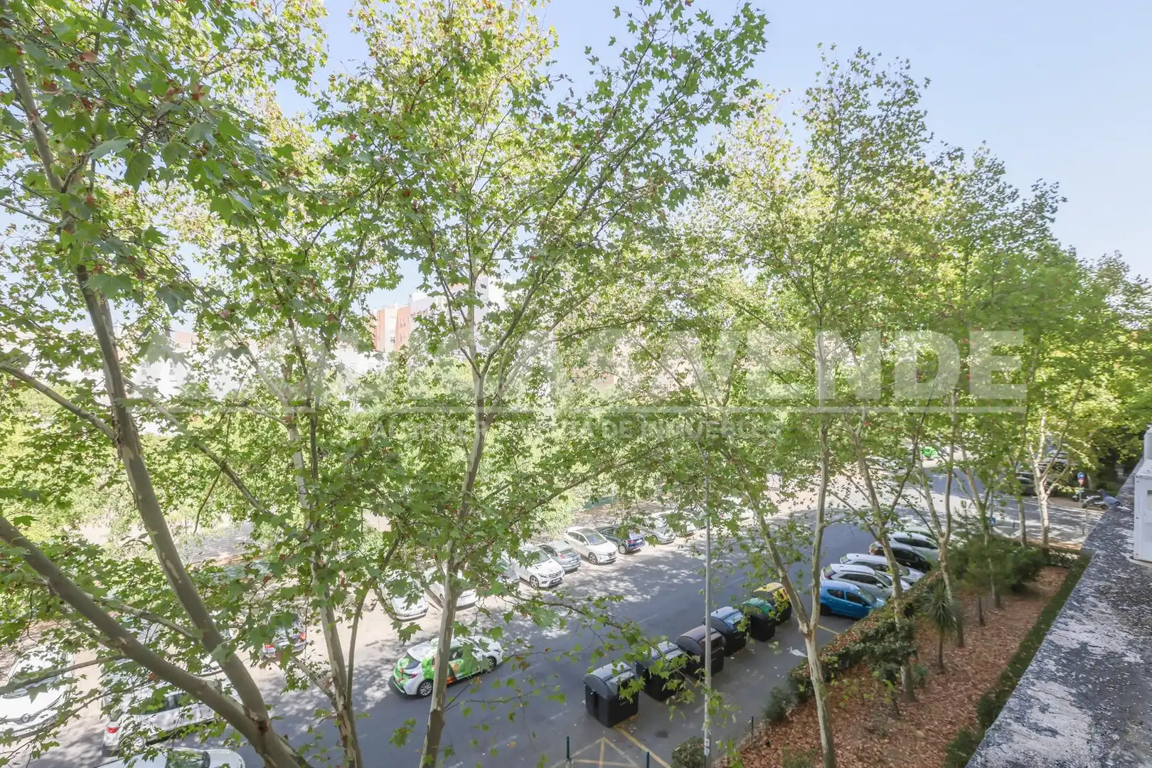 Flat with terrace for sale in Este - Alcosa- Torreblanca, imagen 20