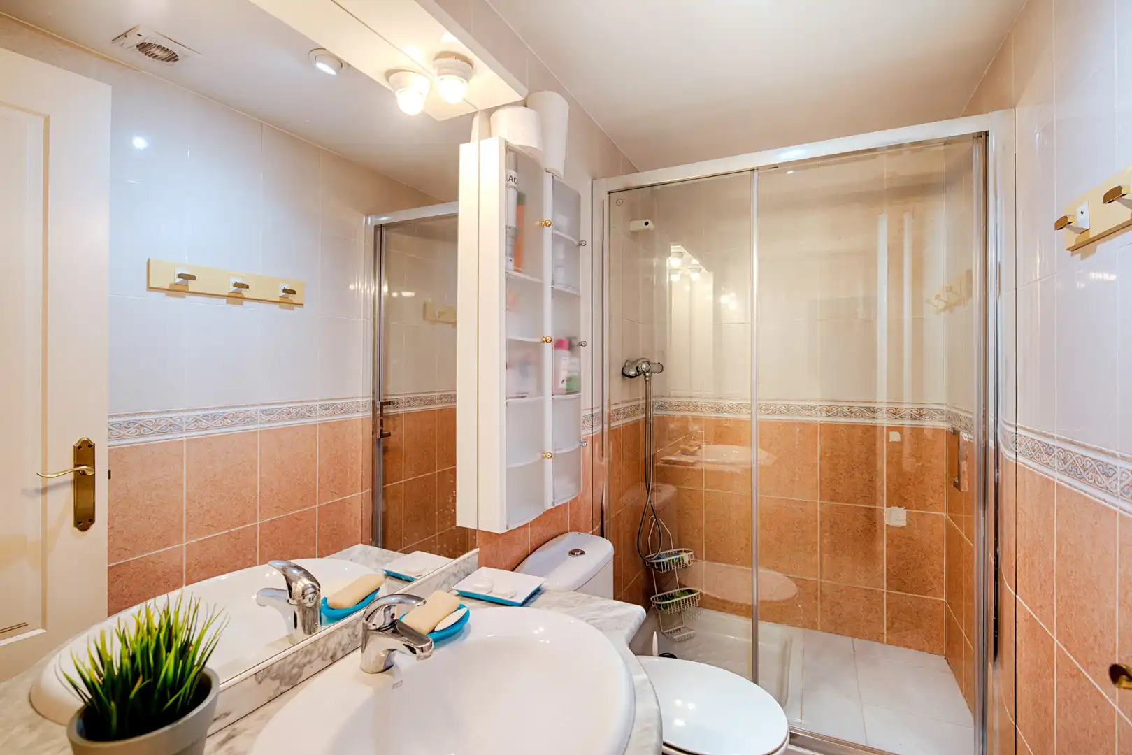 Appartamento con piscina in vendita a Sant Maurici, imagen 18