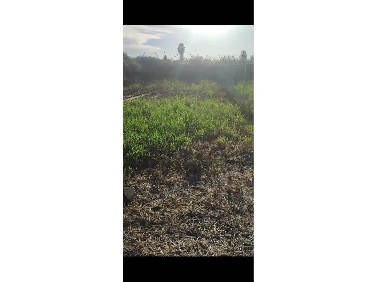 Terreny rústic en venda a El Grao, imagen 2