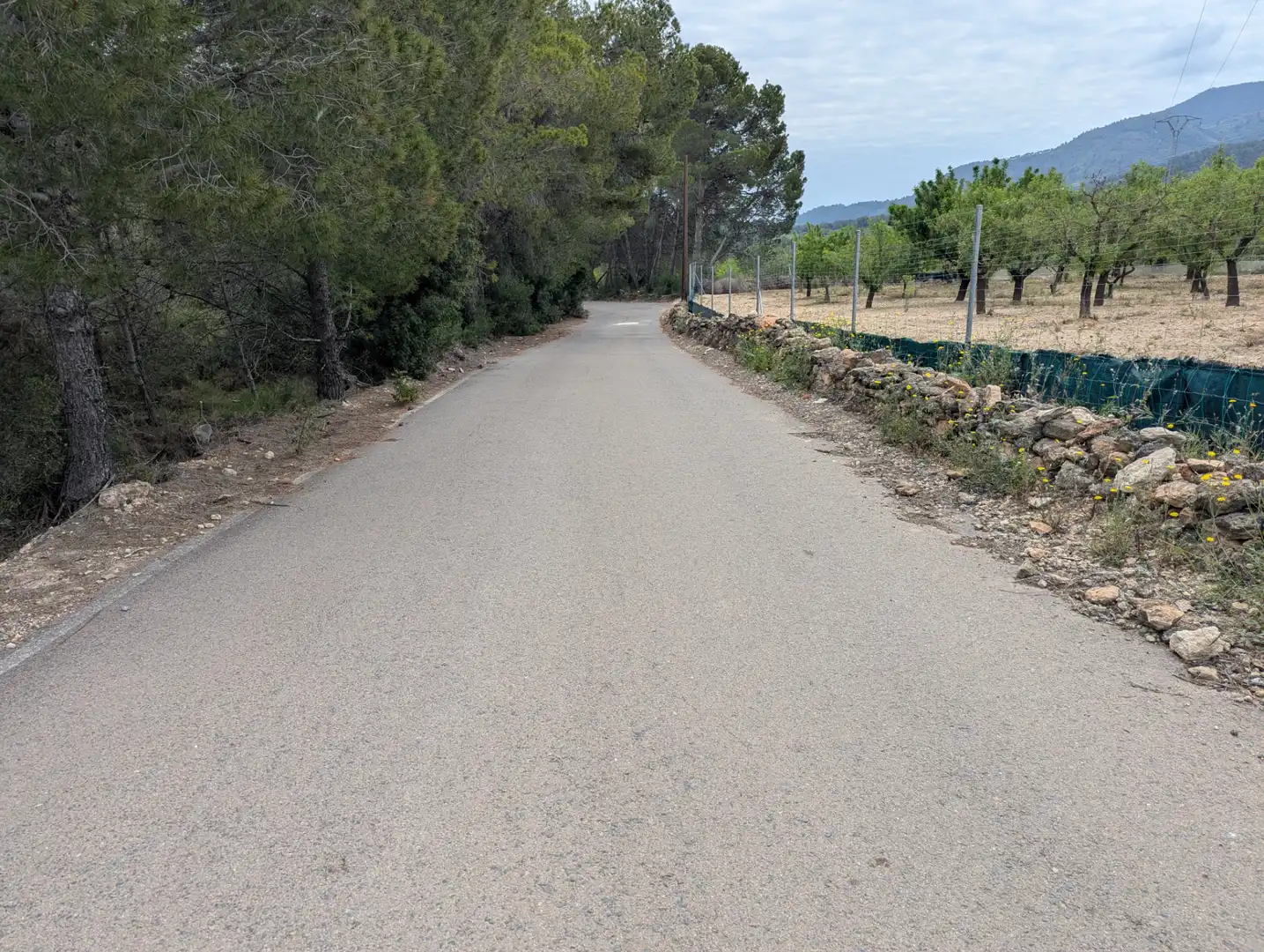 Terreno rustico in vendita a Camino 2 39, imagen 2