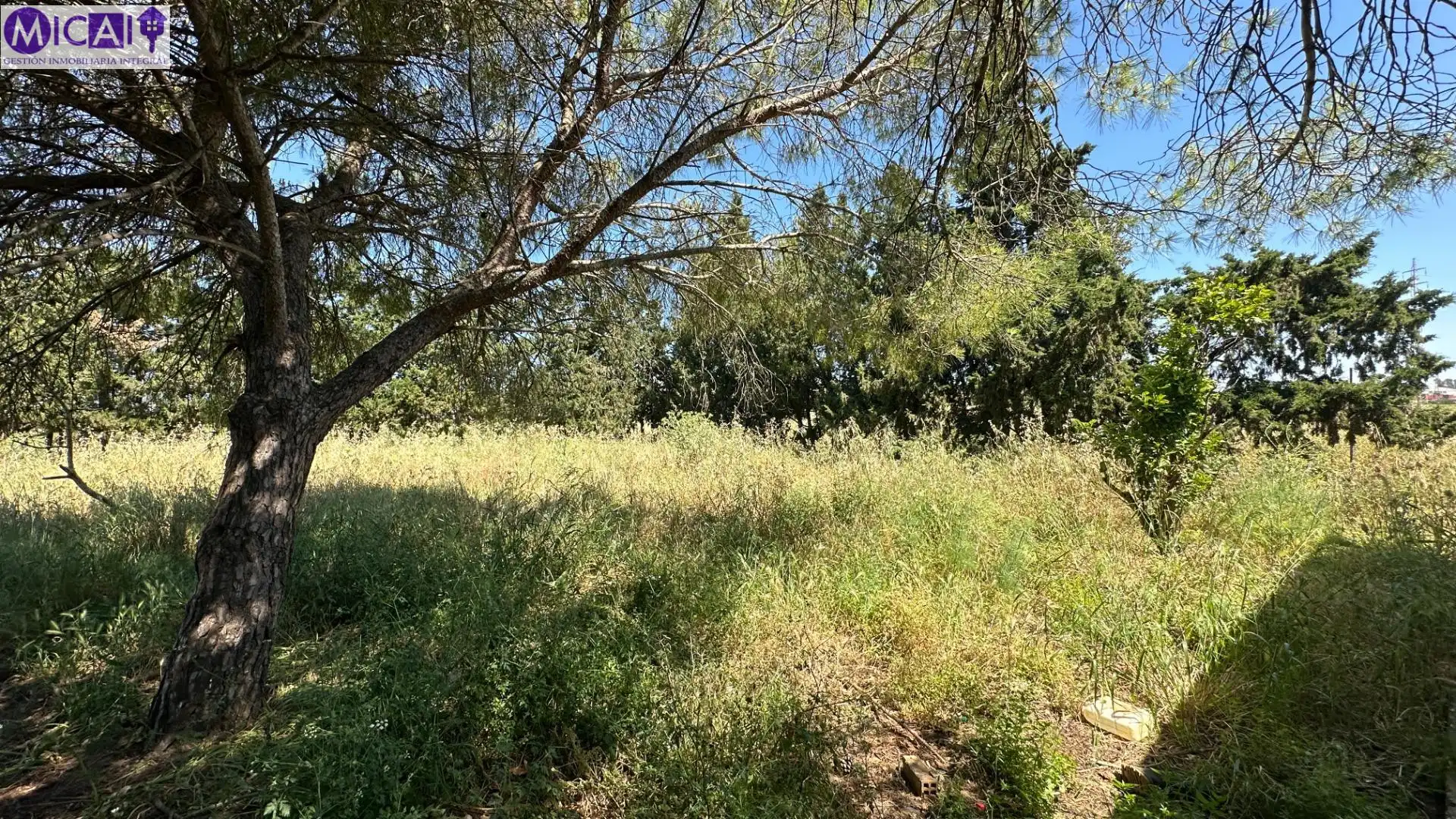 Casa o xalet en venda en Chiclana de la Frontera