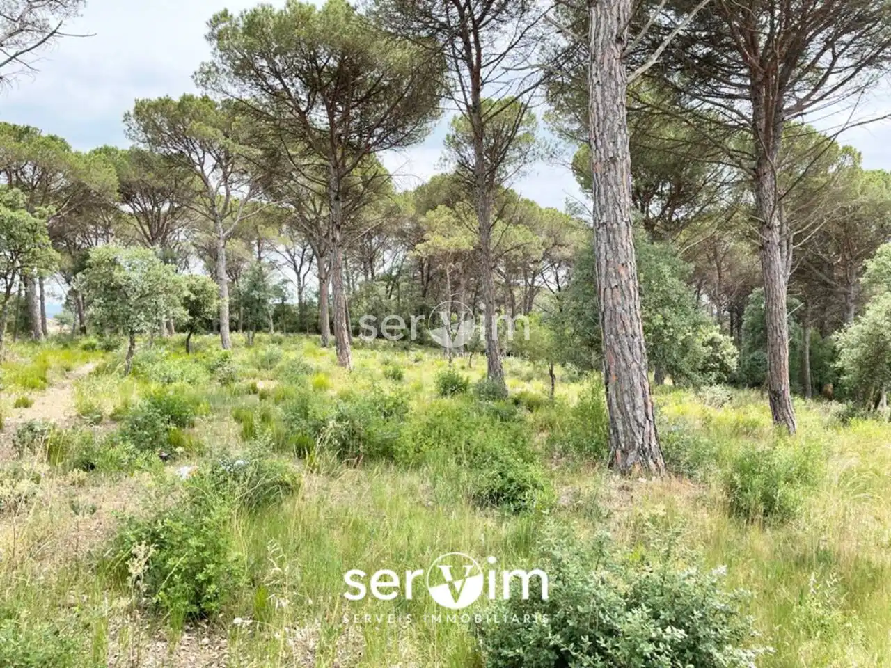 Terrain résidentiel à vendre à Avenida Malavella 208, imagen 6