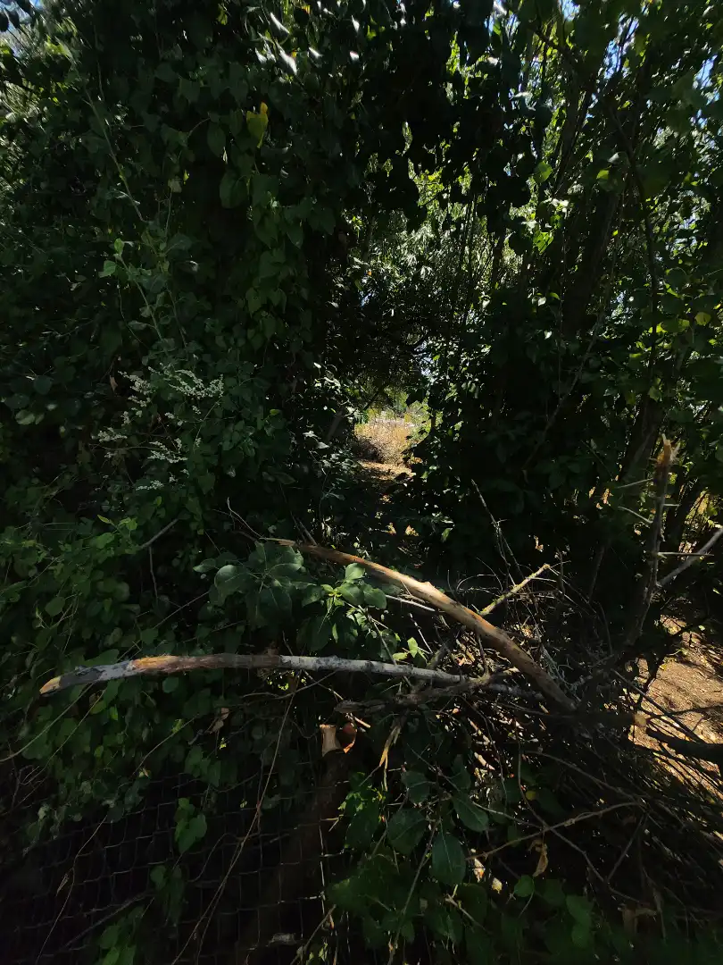 Terreno residenziale in vendita a Marchamalo, imagen 62
