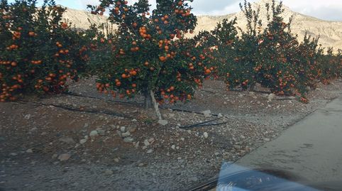 Foto 4 de Terreno en venta en Calle Orihuela, 13, Orea, Guadalajara