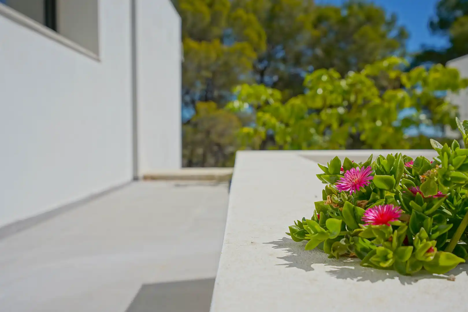 Villa à vendre à La Viña - Montemar - San Jaime, imagen 48