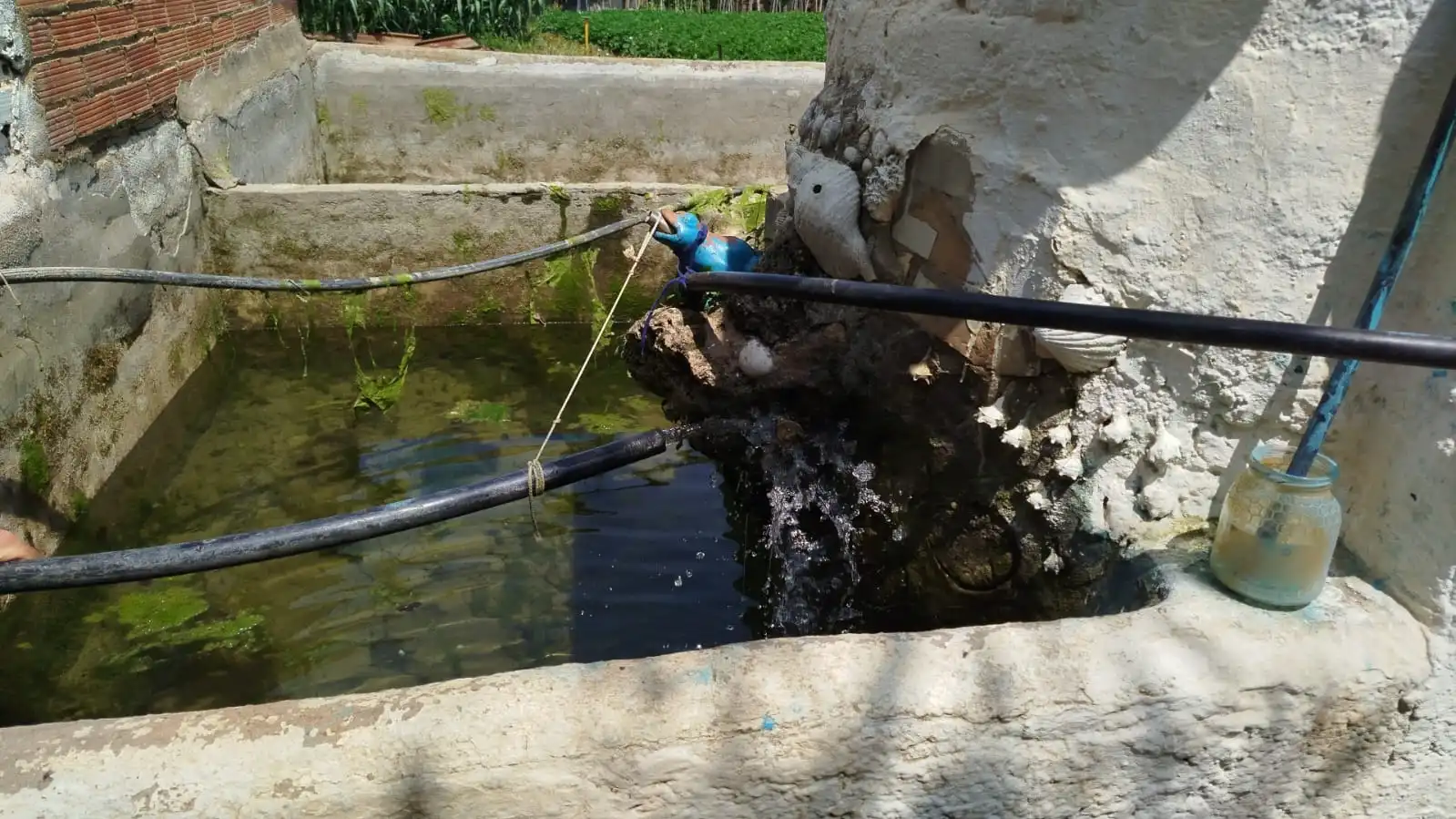 Jardí de Finca rústica en venda en Sabadell