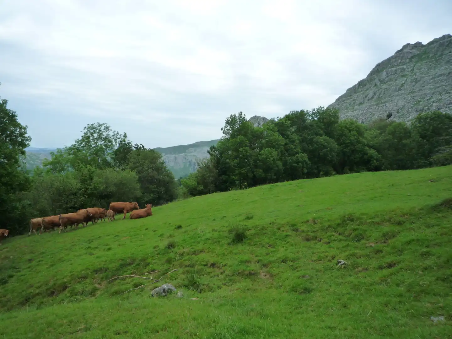Terreno rustico in vendita a Liérganes, imagen 6