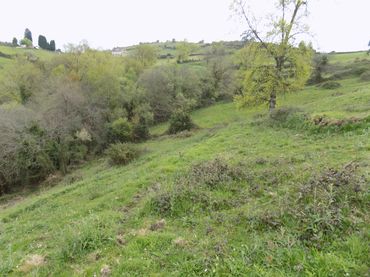 Terreno rustico in vendita a Parroquias Norte