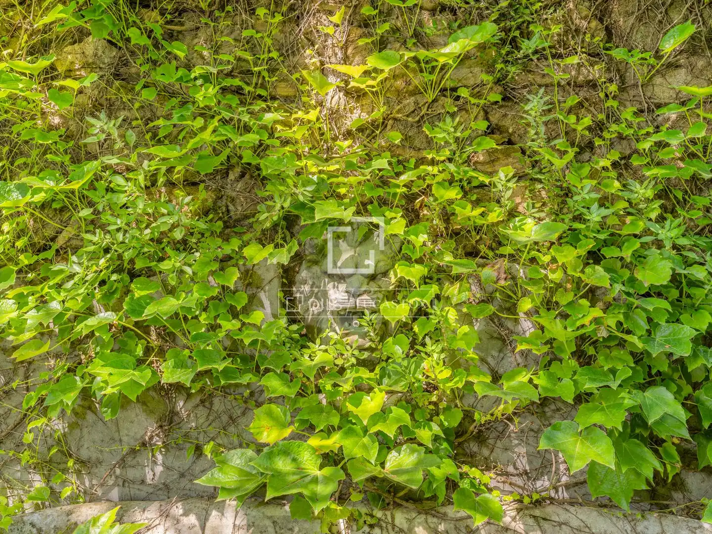 Casa rustica con piscina in vendita a Madremanya, imagen 53