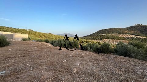 Foto 5 de Finca rústica en venta en Las Vegas - Campoaras, Lucena