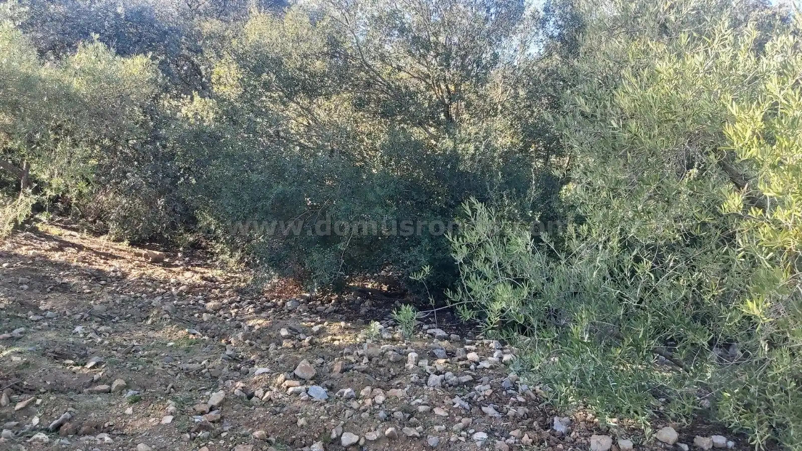 Terreni e lotti in vendita a Partidas Norte, imagen 5