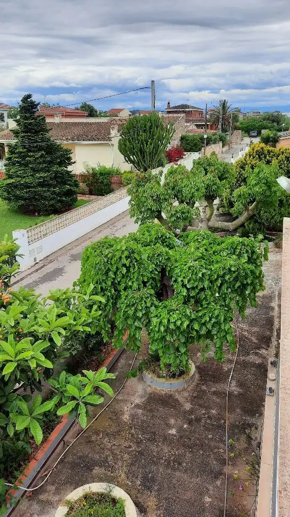 Jardí de Casa o xalet en venda en Vinaròs amb Calefacció, Jardí privat i Terrassa