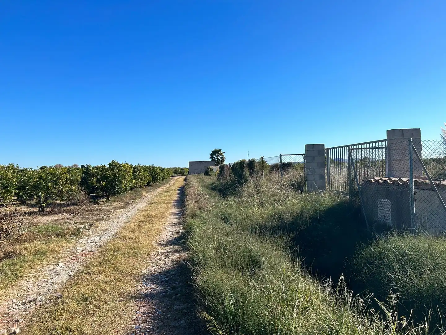 Rural land for sale in Sueca ciudad, imagen 5