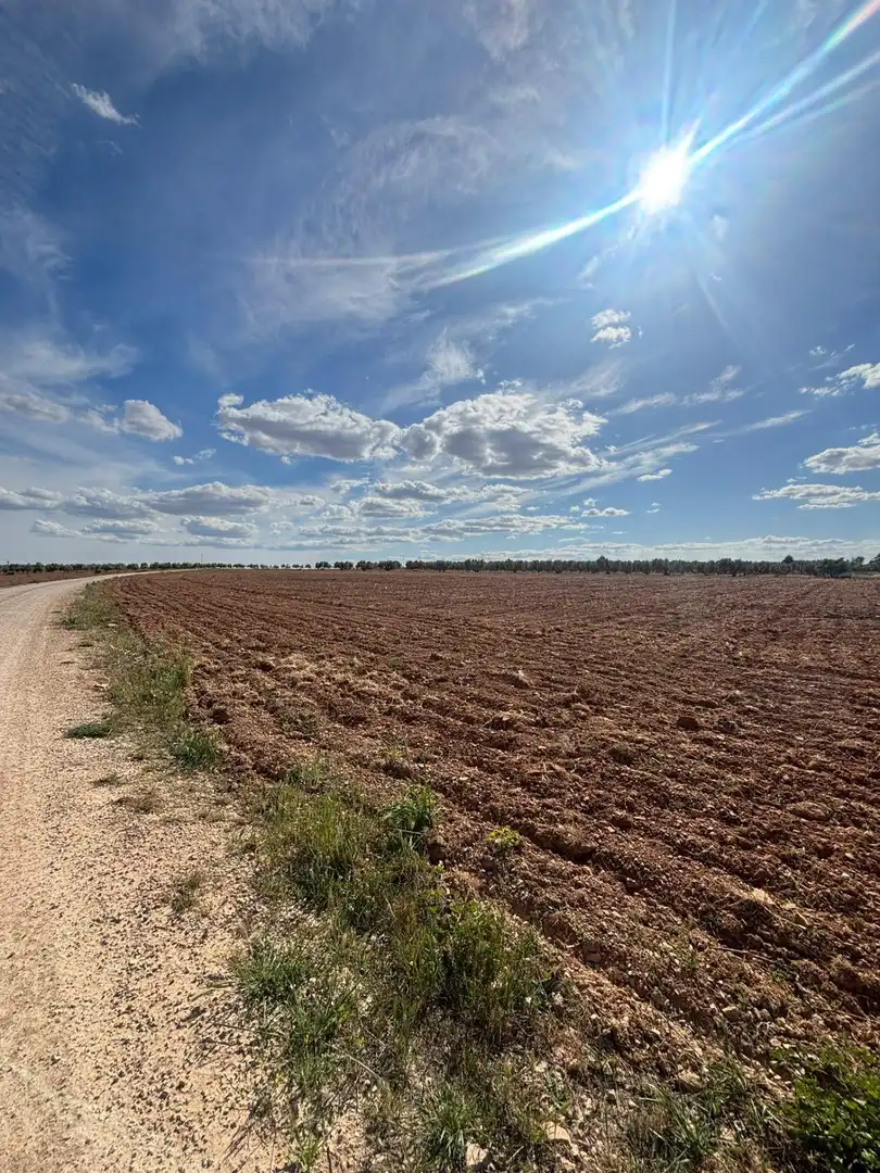 Grundstücke zum Verkauf in Valdepeñas