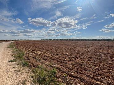 Rustikales Grundstück zum Verkauf in Valdepeñas