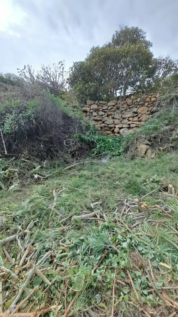 Terreno rustico in vendita a Arico, imagen 14