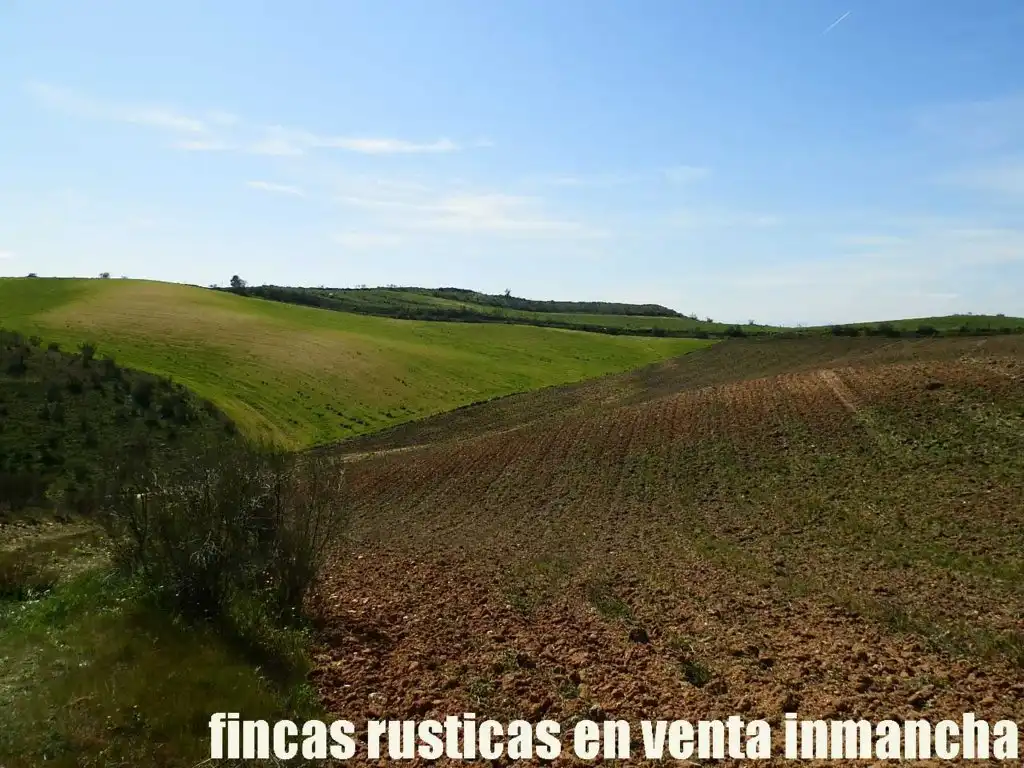 Terreno rustico in vendita a Casco Histórico, imagen 13