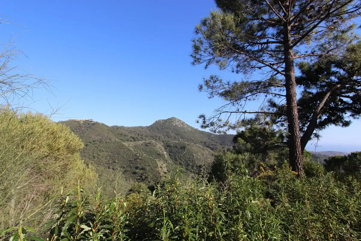 Terrenys i solars en venda a Benahavís pueblo, imagen 12