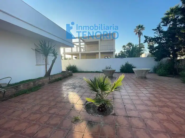 Vista exterior de Casa o chalet en venta en El Rompido con Terraza
