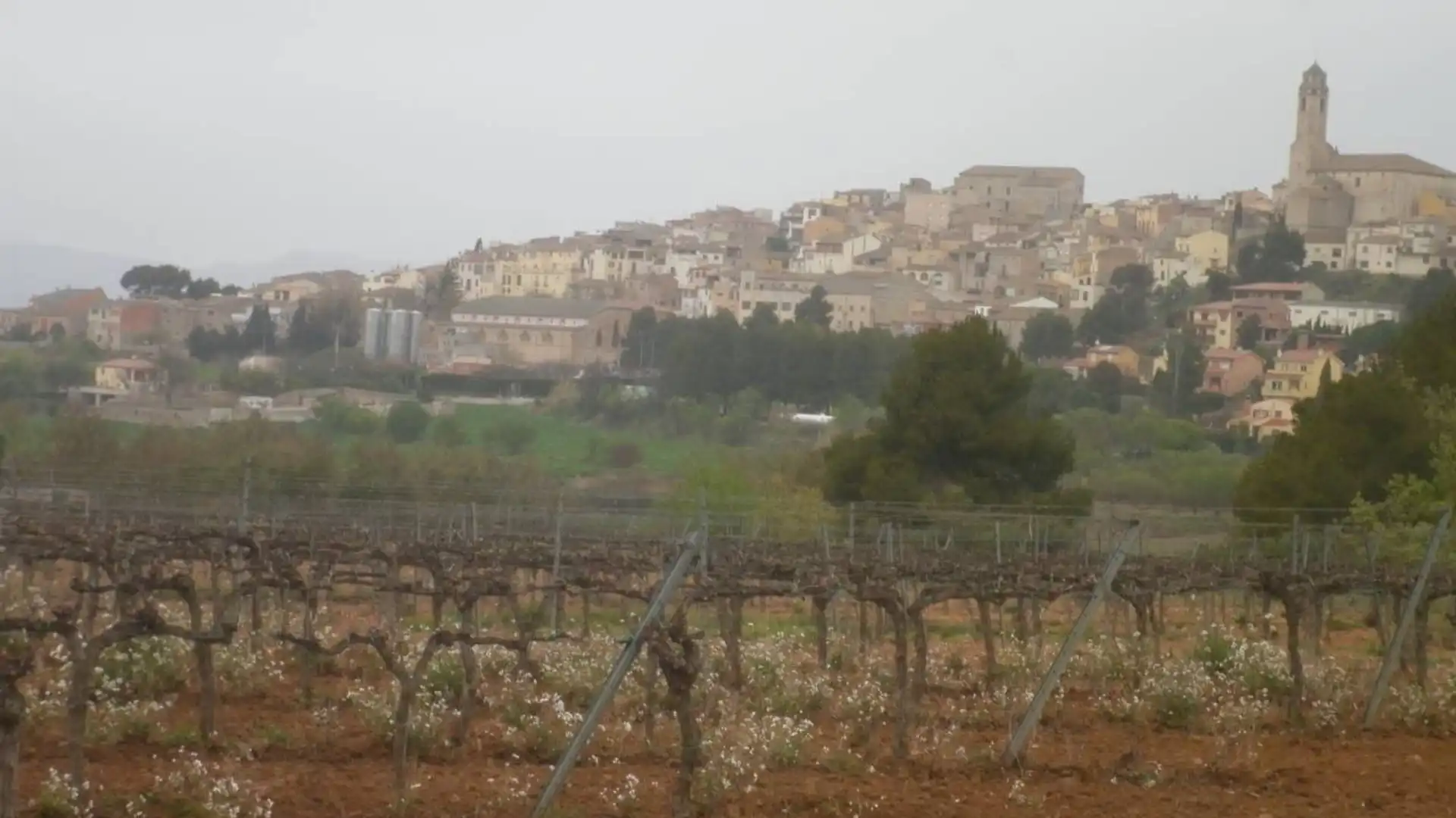 Vista exterior de Residencial en venta en Barberà de la Conca