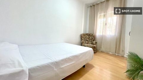 Photo 4 of Room in El Tardón - El Carmen, Sevilla Capital