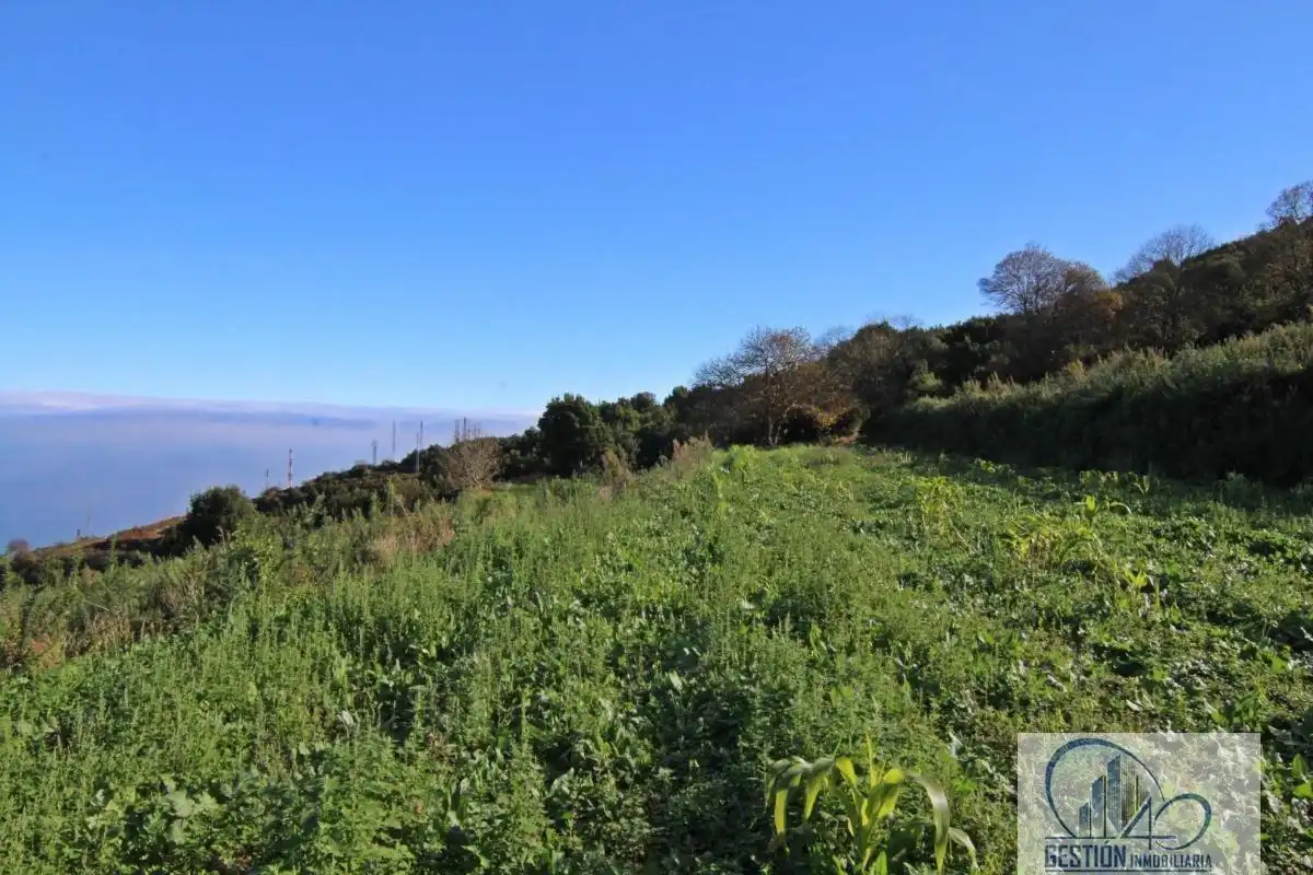 Finca rústica en venta en Los Realejos